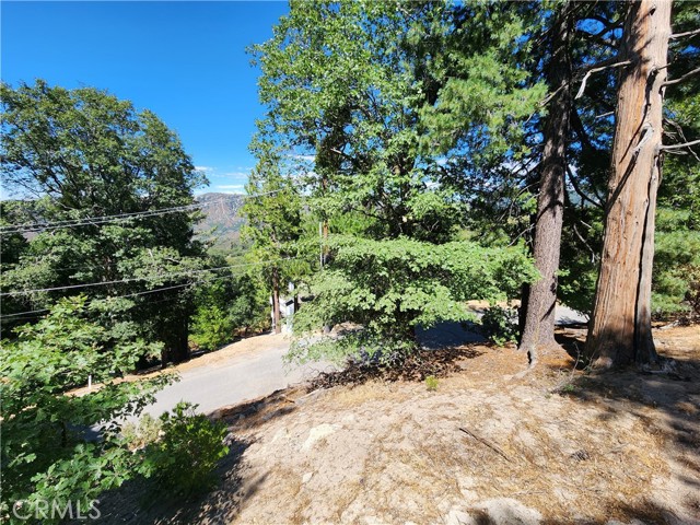 203 Canyon View Drive, Crestline, California 92325, ,Land,For Sale,203 Canyon View Drive,CRRW23202829