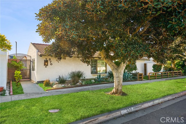 Front Image Thumbnail for CROC25272001