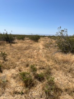 Detail Gallery Image 12 of 15 For 0 Cor 87th St W & Felsite Ave, Rosamond,  CA 93560 - – Beds | – Baths