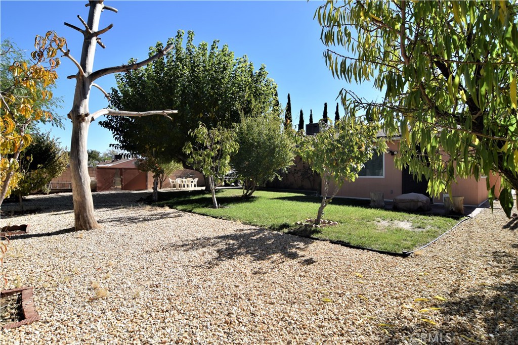 MLS #SR25252356 image #23