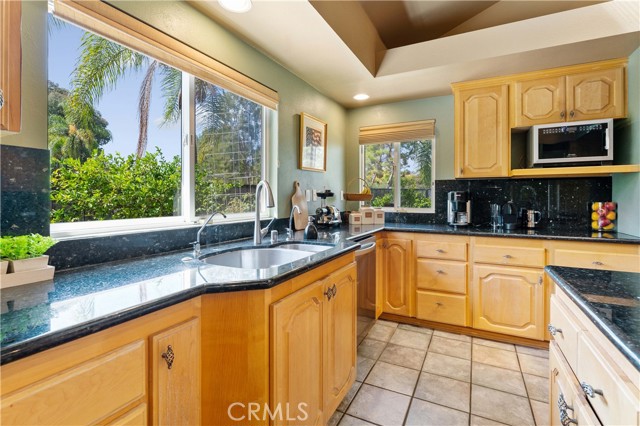 Double pane window view of side yard from sink. Window closer to the microwave has a view of the backyard. Plenty of cabinets and granite counter tops to create your favorite dishes.