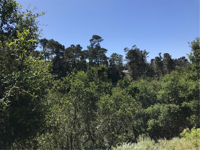 0 Hillcrest Drive, Cambria, California 93428, ,Land,For Sale,0 Hillcrest Drive,CRSC22073549