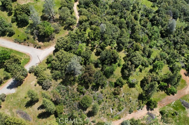 Detail Gallery Image 4 of 25 For 0 4.98 Ac Timberwood Ln, Oakhurst,  CA 93644 - – Beds | – Baths