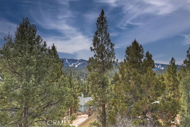 Detail Gallery Image 49 of 73 For 1051 Mound, Big Bear City,  CA 92314 - 4 Beds | 5 Baths