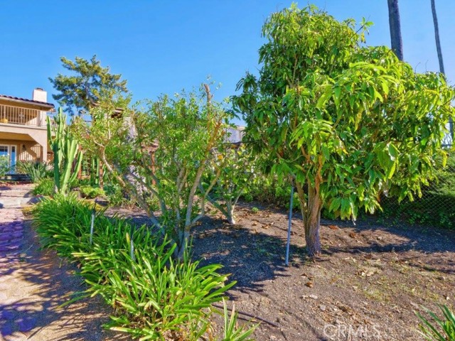 Fruit Trees Area