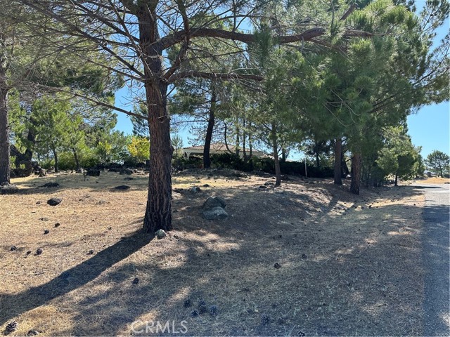 Detail Gallery Image 59 of 71 For 460 Lake Vista Dr, Lakeport,  CA 95453 - 3 Beds | 2 Baths