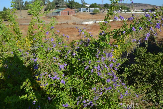 Detail Gallery Image 33 of 39 For 24139 Keen Rd, Homeland,  CA 92548 - 3 Beds | 2 Baths