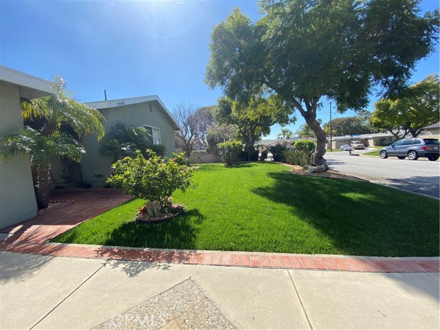 Front Yard Looking South