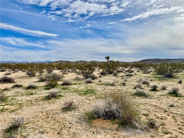 0 Willies Way, Joshua Tree, California 92285, ,Land,For Sale,0 Willies Way,CRJT24040611