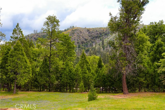 Detail Gallery Image 57 of 69 For 7072 Cranes Nest Rd, Mariposa,  CA 95338 - 1 Beds | 1 Baths