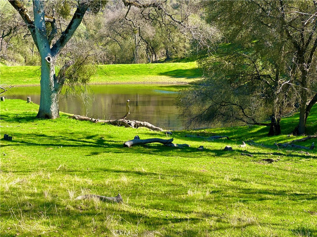https://media.crmls.org/medias/2caef92f-e482-4b7b-b6f7-0f43f817cfa4.jpg?preset=X-Large