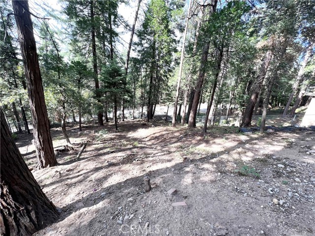 24792 Bernard Drive, Crestline CA: https://media.crmls.org/medias/2cb84661-036c-400c-bbed-13b4a0e8dd29.jpg