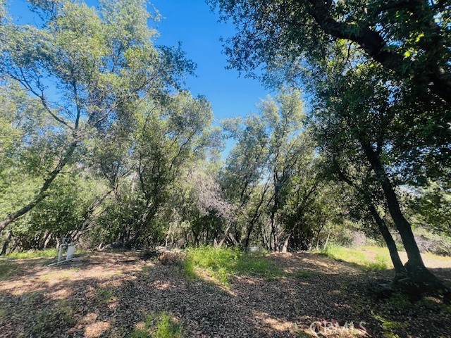 Detail Gallery Image 7 of 75 For 8697 Fraguero Rd, Sonora,  CA 95370 - 4 Beds | 2/1 Baths