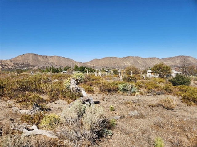 113 Stuveling, Phelan CA: https://media.crmls.org/medias/2cc252b2-e578-4e45-9434-a2aedc11280e.jpg