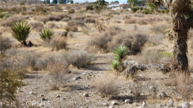 0 Juniper, Apple Valley CA: https://media.crmls.org/medias/2cc44371-d8da-4e3e-bb56-fc00aed5e240.jpg