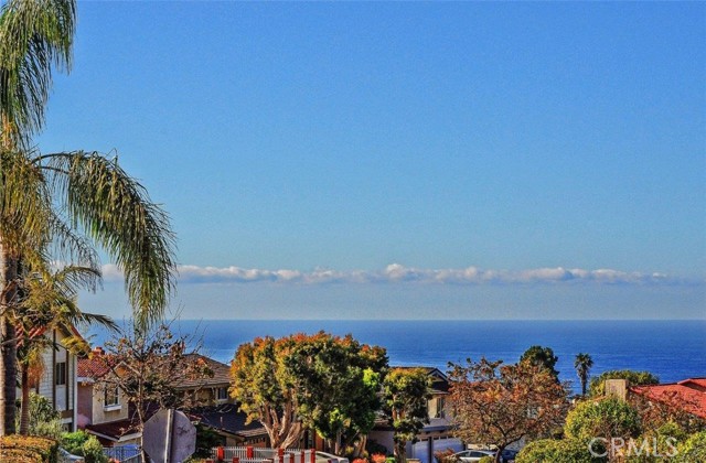 30406 Via Rivera, Rancho Palos Verdes, California 90275, 4 Bedrooms Bedrooms, ,1 BathroomBathrooms,Residential,Sold,Via Rivera,PV24066908