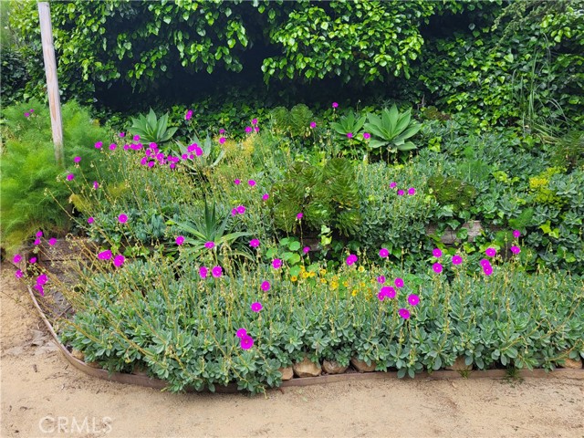 Detail Gallery Image 24 of 27 For 925 Poli St, Ventura,  CA 93001 - 2 Beds | 1 Baths