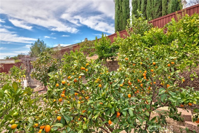 Detail Gallery Image 58 of 75 For 28479 Nautical Point, Menifee,  CA 92585 - 4 Beds | 2/1 Baths