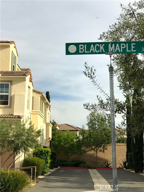 31139 Black Maple Drive #7