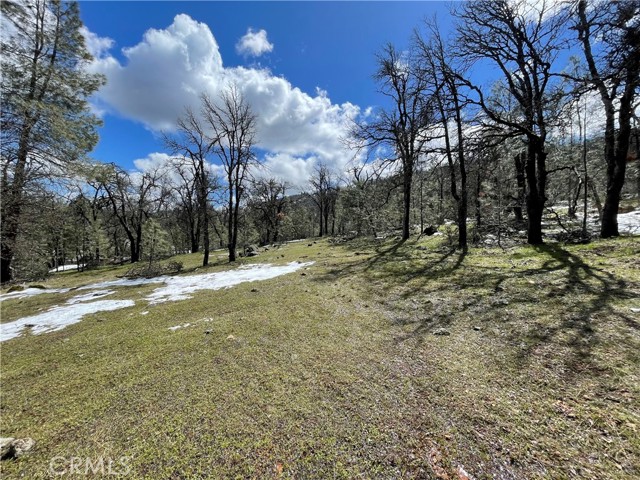 Detail Gallery Image 14 of 20 For 5799 Corey Pines Rd, Mariposa,  CA 95338 - – Beds | – Baths