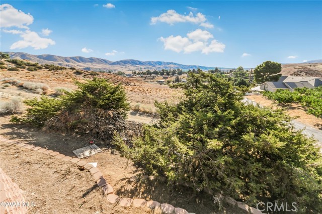 Detail Gallery Image 27 of 31 For 39631 87th St, Leona Valley,  CA 93551 - 4 Beds | 3 Baths