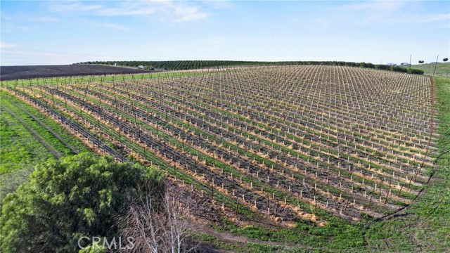 Detail Gallery Image 6 of 9 For 7114 Orcutt Rd, San Luis Obispo,  CA 93401 - – Beds | – Baths