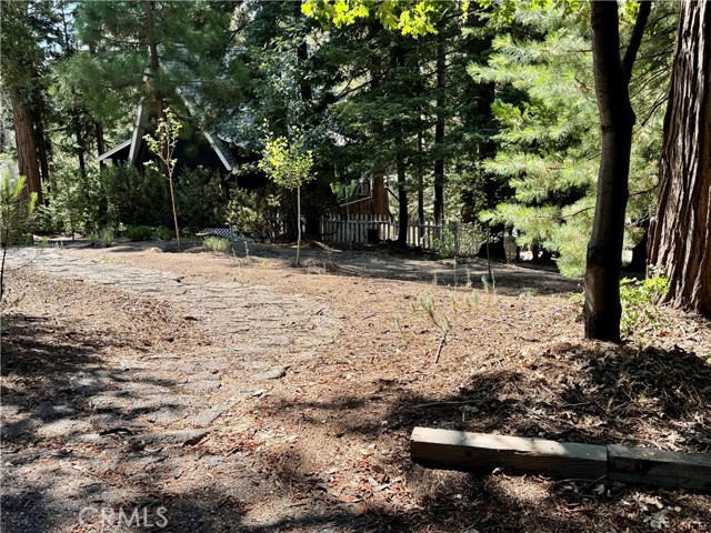 767 Grass Valley Road, Lake Arrowhead CA: https://media.crmls.org/medias/2ce54bed-36a0-4c21-be45-585039dc9b9f.jpg
