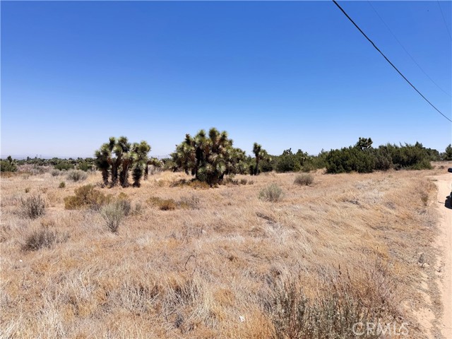 0 Sunnyslope Road, Phelan CA: https://media.crmls.org/medias/2ce64552-162c-4992-9e13-658e259fbb13.jpg