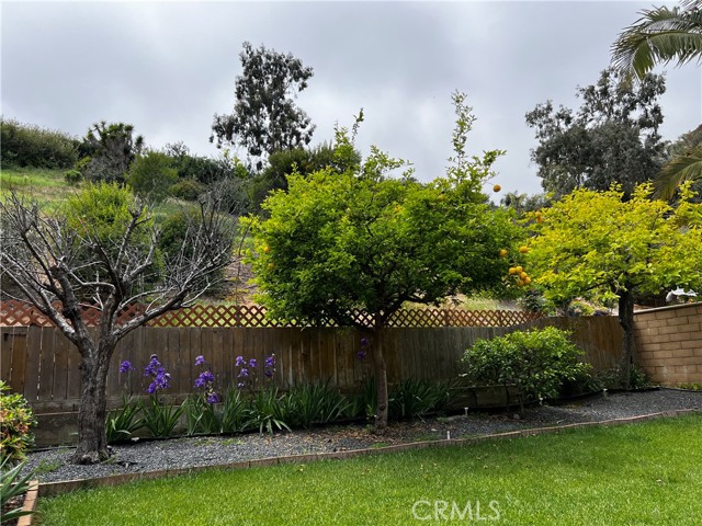 Detail Gallery Image 39 of 54 For 4405 Sierra Morena Ave, Carlsbad,  CA 92010 - 4 Beds | 2/1 Baths