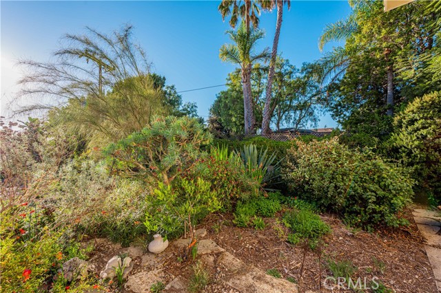 Drought resistant foliage