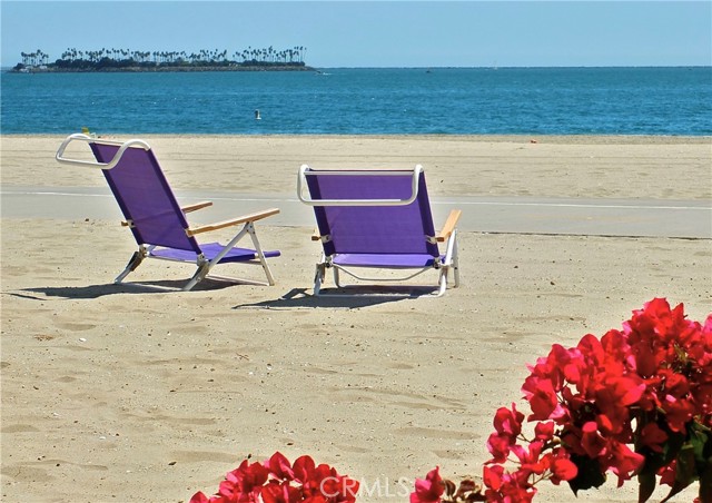 Detail Gallery Image 3 of 4 For 1402 Olive, Long Beach,  CA 90813 - 4 Beds | 2 Baths