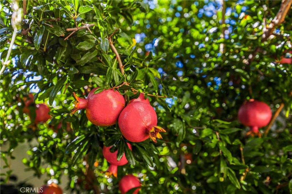 2Ceda995 97Cf 4937 82Bf 58C3F55121Cd 1631 Palmer Court, Upland, Ca 91784 &Lt;Span Style='BackgroundColor:transparent;Padding:0Px;'&Gt; &Lt;Small&Gt; &Lt;I&Gt; &Lt;/I&Gt; &Lt;/Small&Gt;&Lt;/Span&Gt;