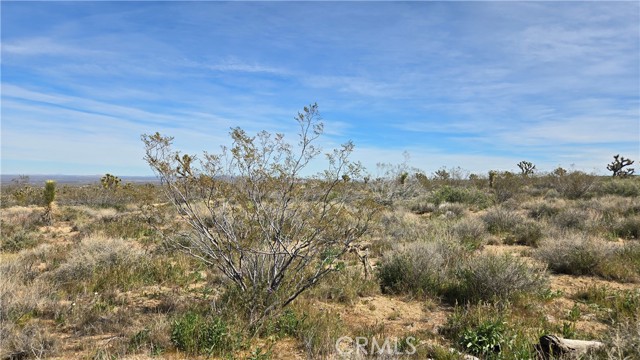 Detail Gallery Image 32 of 50 For 0 Fort Tejon Rd Vicinity 181st St E, Llano,  CA 93544 - – Beds | – Baths