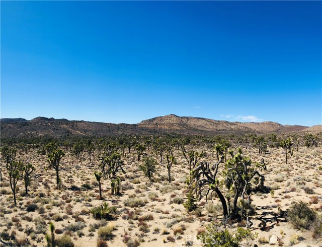 Detail Gallery Image 4 of 33 For 27 Vista Rd, Pioneertown,  CA 92356 - – Beds | – Baths