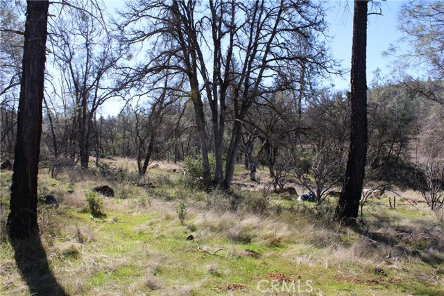 Detail Gallery Image 29 of 35 For 0 Condor Rd, Oroville,  CA 95965 - – Beds | – Baths