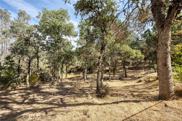 15358 Pacific Street, Clearlake, California 95422, ,Land,For Sale,15358 Pacific Street,CRLC23176279