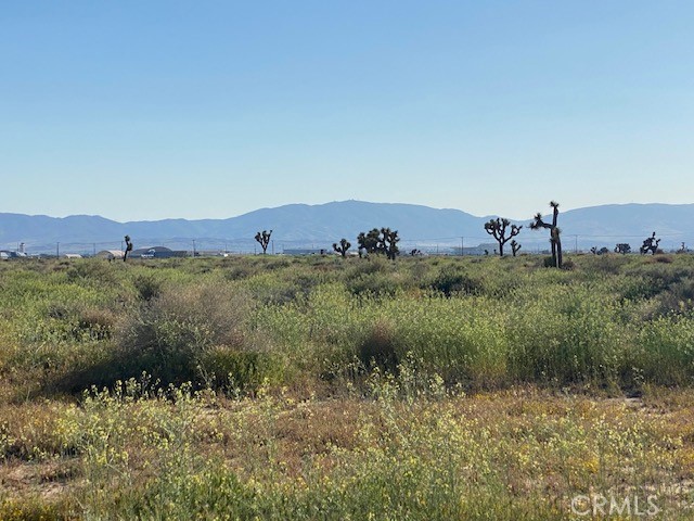 Detail Gallery Image 27 of 35 For 0 Vac/Vic Avenue L4/33rd Ste, Palmdale,  CA 93552 - – Beds | – Baths