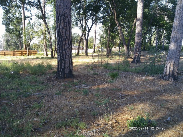 1832 Lillian, Paradise, CA, 95969 1832 Lillian, Paradise, CA, 95969