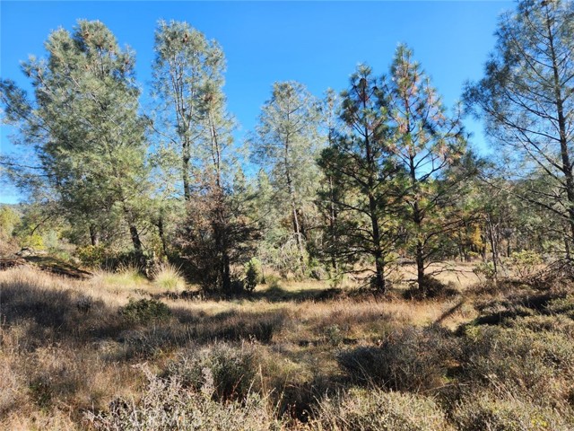 Detail Gallery Image 15 of 32 For 14444 Labadie, Dobbins,  CA 95935 - – Beds | – Baths