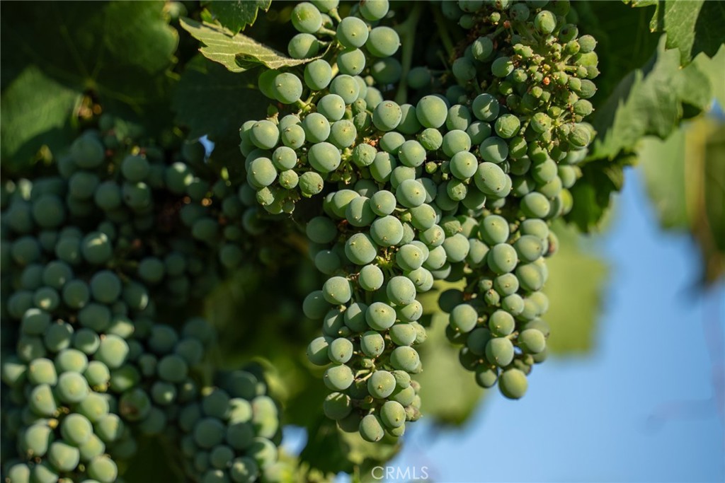 MLS #NS24213096 image #64