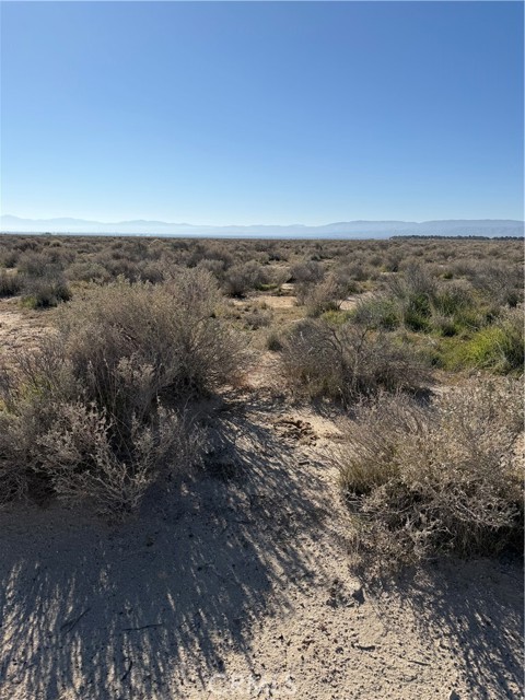 0 Avenue E, Lancaster CA: https://media.crmls.org/medias/2d122253-23c7-4ff6-b3d1-eea5e56d4b8e.jpg