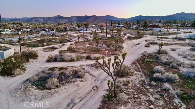 57335 Twentynine Palms, Yucca Valley, California 92284, ,Land,For Sale,57335 Twentynine Palms,CRNP23100972