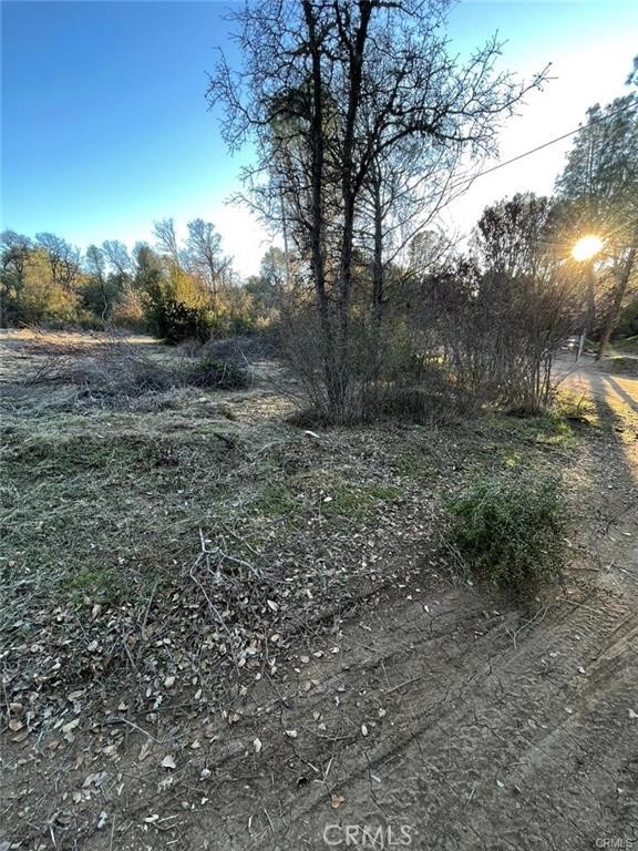 Front Image Thumbnail for CRDW26078440