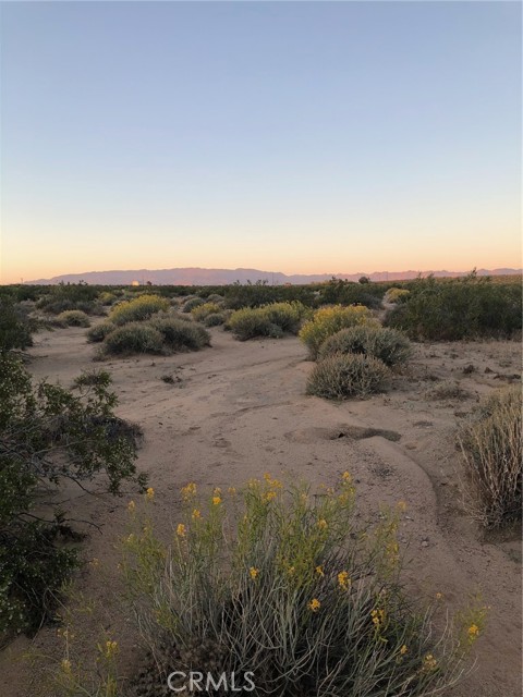 0 Brant Cross Rd, Twentynine Palms, California 92277, ,Land,For Sale,0 Brant Cross Rd,CRIV23197951