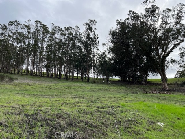 650 Sequoia Court, Morro Bay, California 93442, ,Land,For Sale,650 Sequoia Court,CRSC22155130