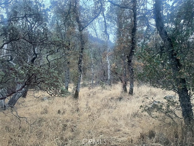 Detail Gallery Image 14 of 19 For 43020 Apache Ranch Rd, Ahwahnee,  CA 93601 - – Beds | – Baths