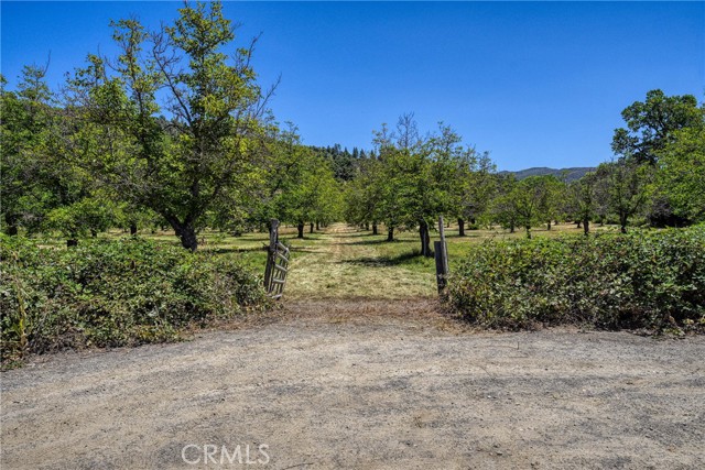 Detail Gallery Image 2 of 31 For 1286 Pitney Ln, Upper Lake,  CA 95485 - – Beds | – Baths
