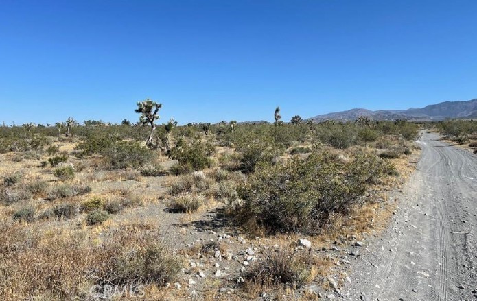 MLS #HD25147546 image #4