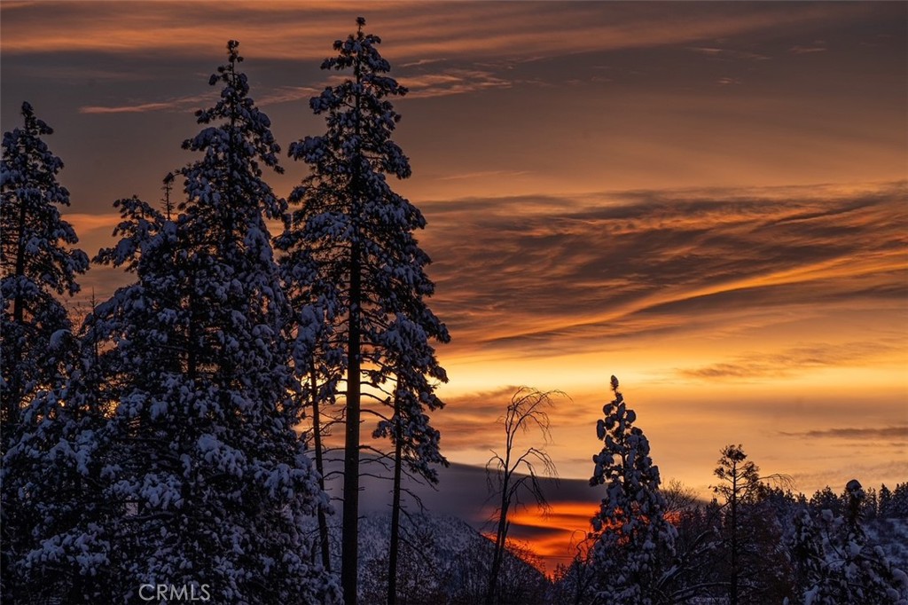 https://media.crmls.org/medias/2d2fc4c3-7022-4e3e-8df3-b003784aa18c.jpg?preset=X-Large