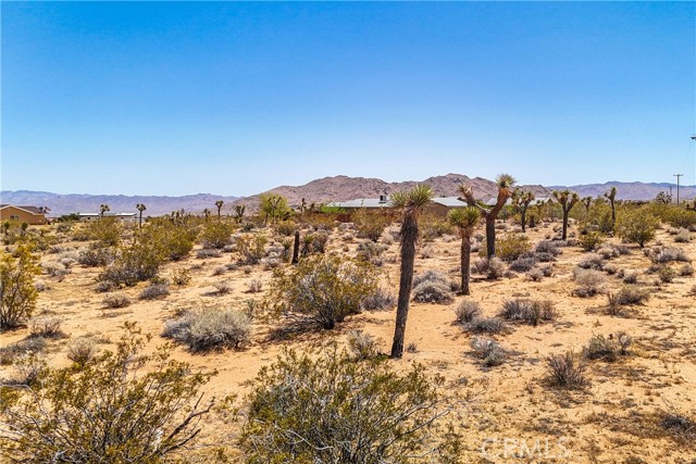 Detail Gallery Image 66 of 75 For 2750 Olympic Rd, Joshua Tree,  CA 92252 - 5 Beds | 4 Baths